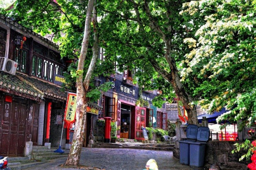 枝江不动产登记改革获省级表彰